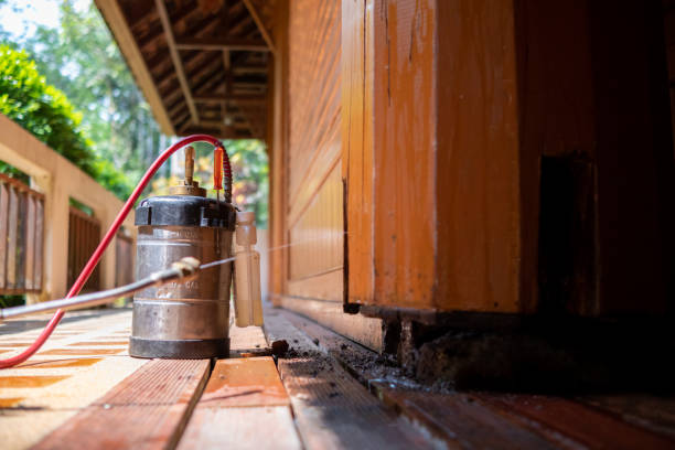 Best Affordable Pest Control Services  in River Forest, IL