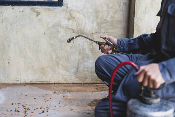 Best Wasp Removal Services  in River Forest, IL