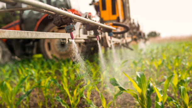 Insect Control in River Forest, IL